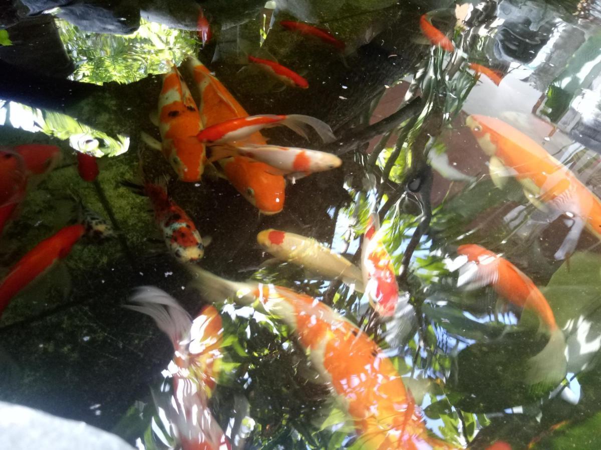 Sanur Tjana Homestay מראה חיצוני תמונה
